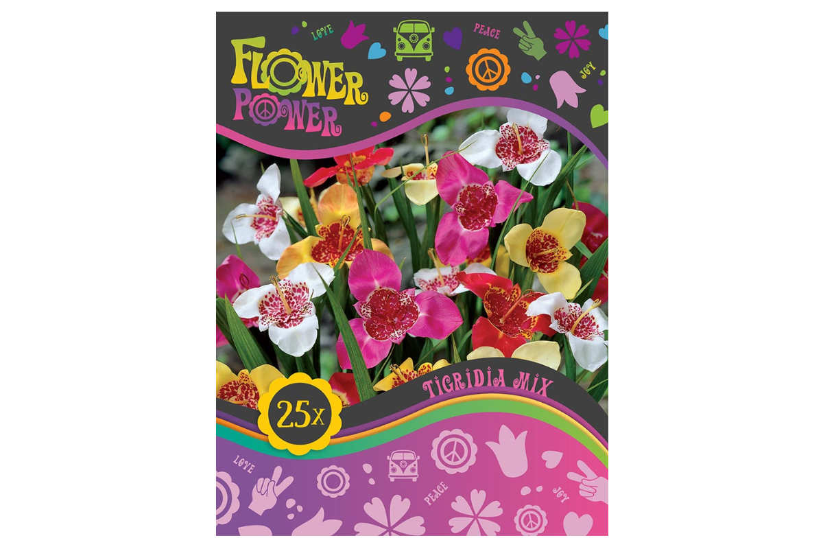 Flower Power Tigridia Mix 25/1 