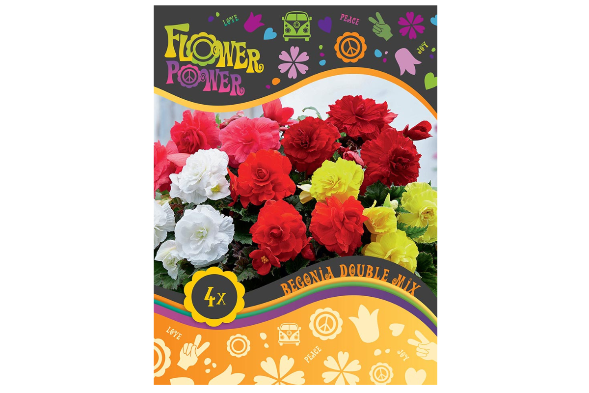 Flower power Begonia Double Mix 4/1