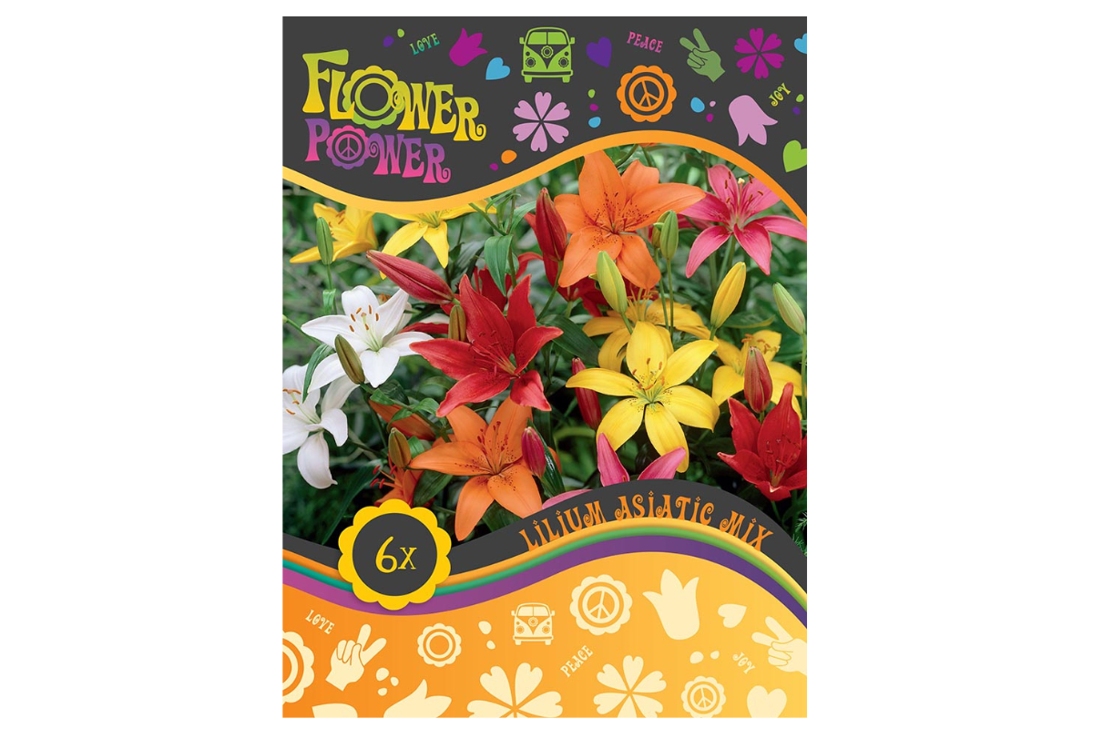 Flower Power Lilium Asiatic Mix 6/1 
