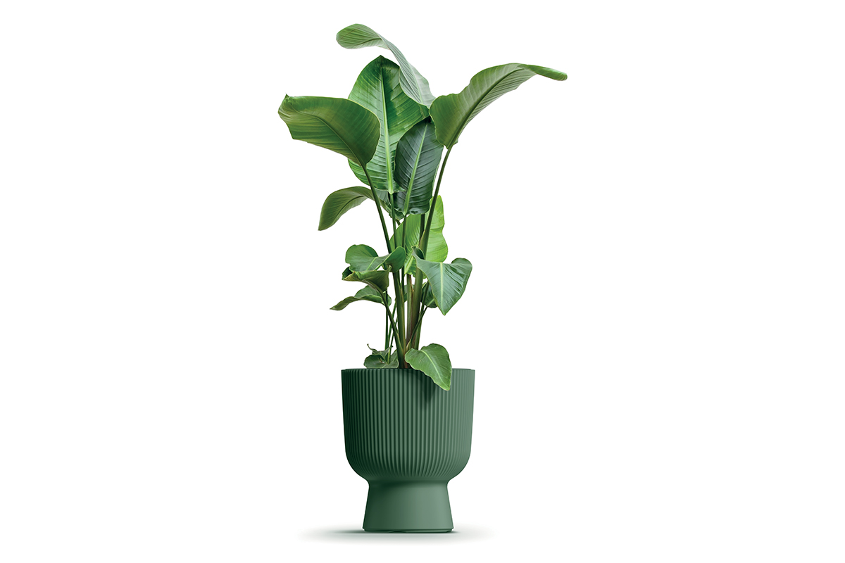 PVC lonec, Milly, 23.9x30.5 cm, borovo zelena