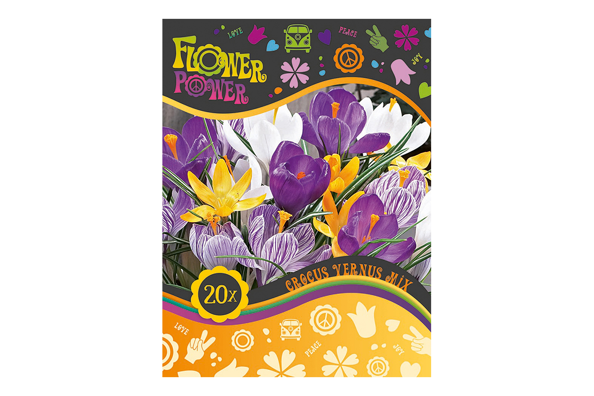 Flover Power Crocus Vernus mix 15/1 