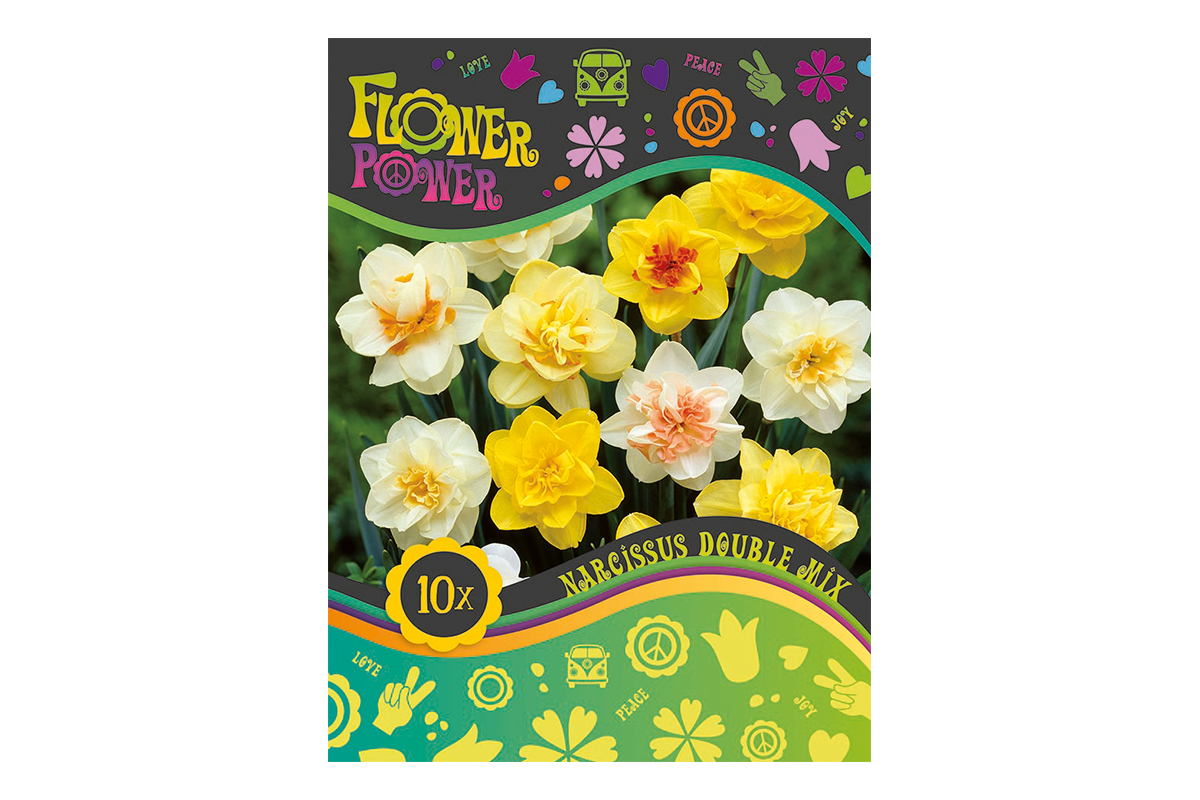 Flover Power Narcissus Double mix 8/1