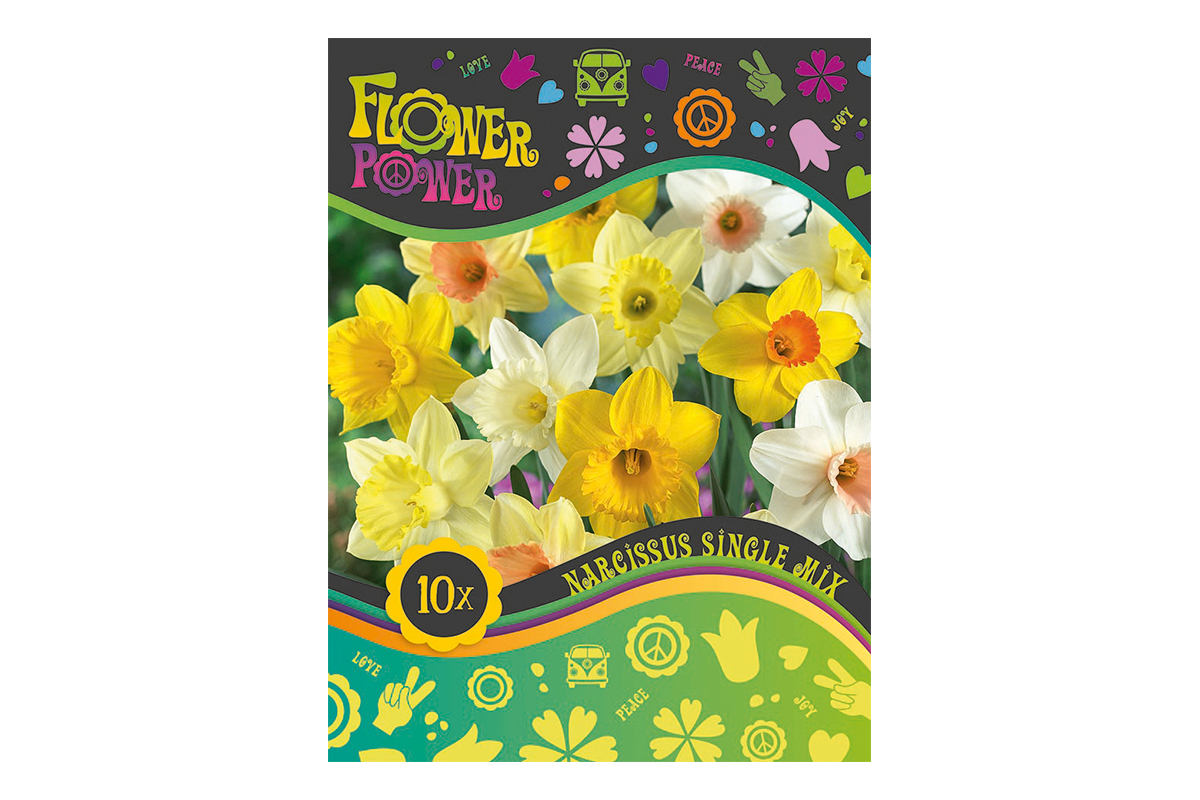 Flover Power Narcissus Single mix 10/1 