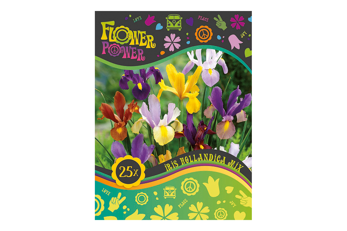 Flover Power Iris Hollandica mix 25/1 