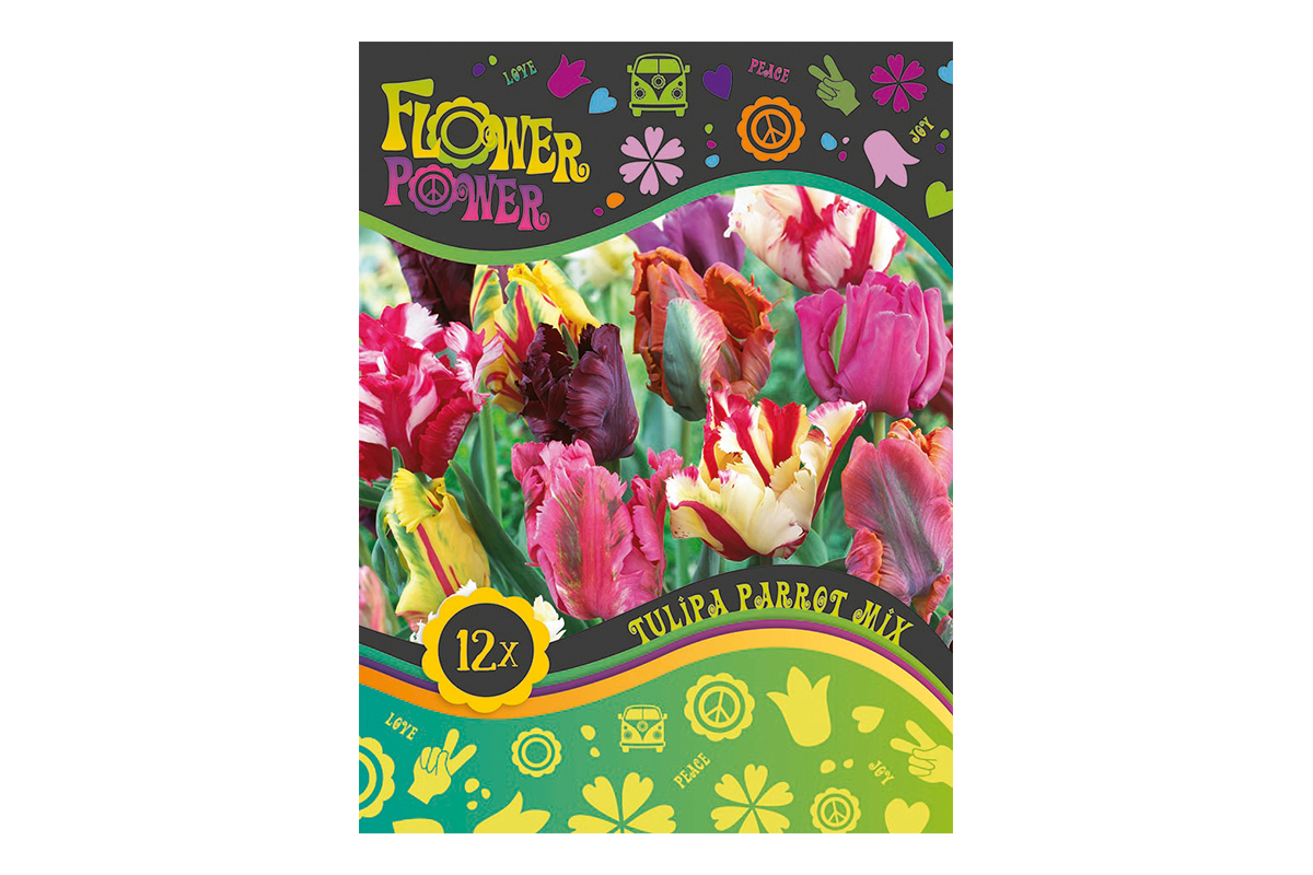 Flover Power Tulipa Parrot mix 8/1 