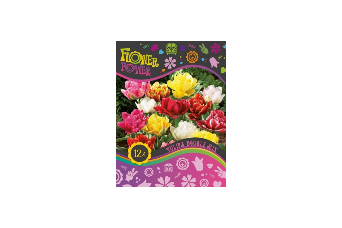 Flower Power Tulipa Double  mix 8/1 