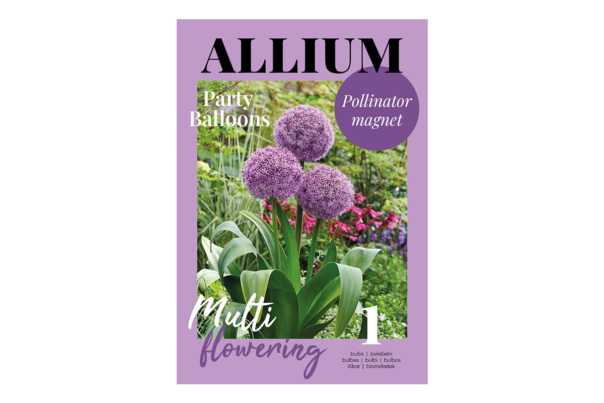 Glossy Allium Party Balloons 1/1 