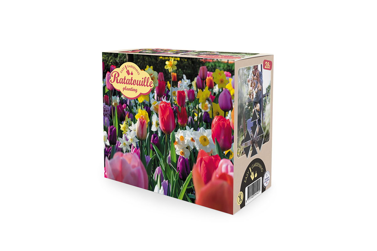 Ratatouille, Rainbow tones 28/1 