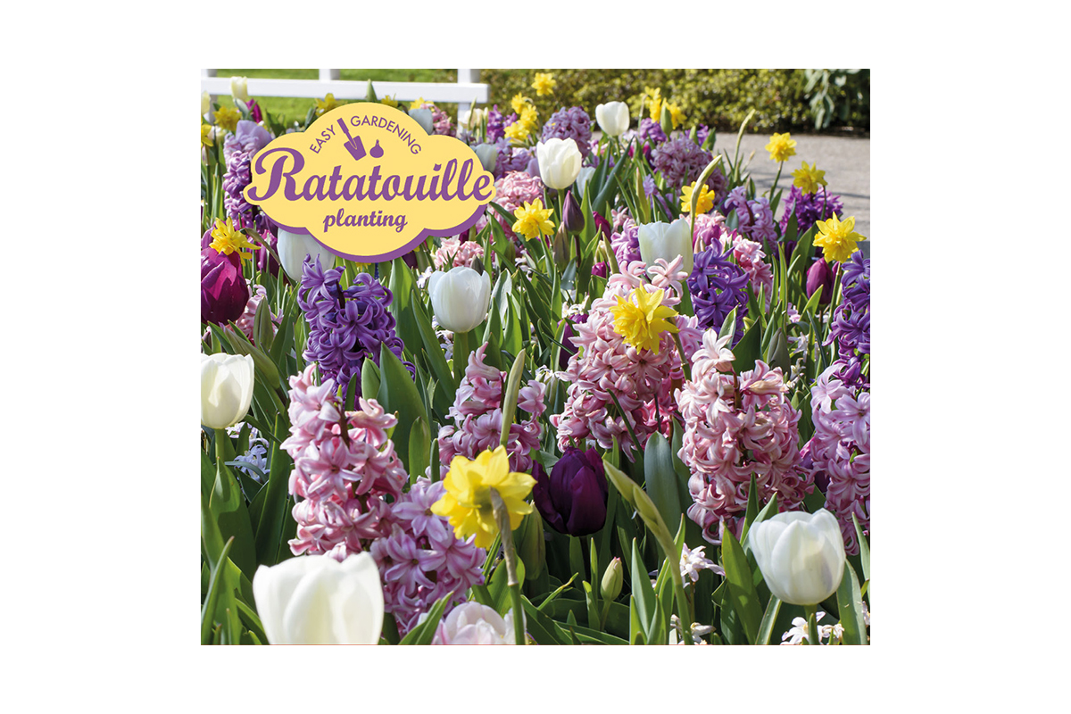 Ratatouille, Pastel Tones  20/1 