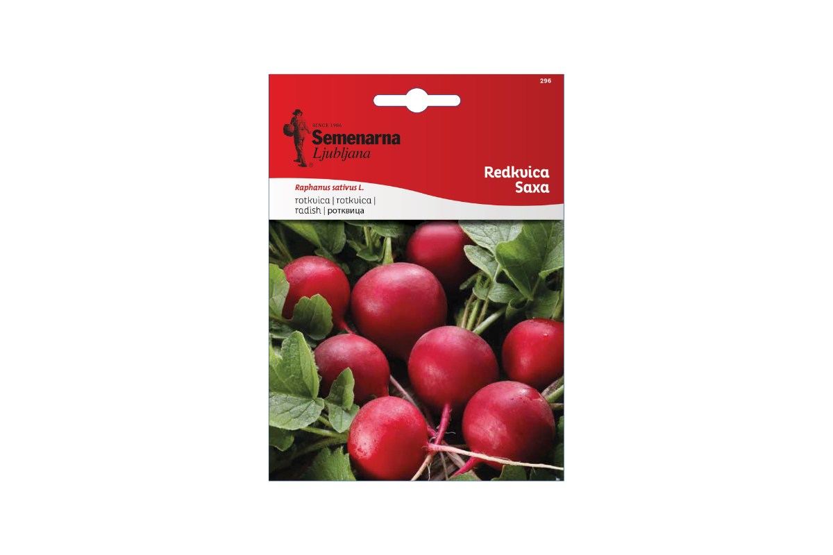 Redkvica Saxa 296 Semenarna 