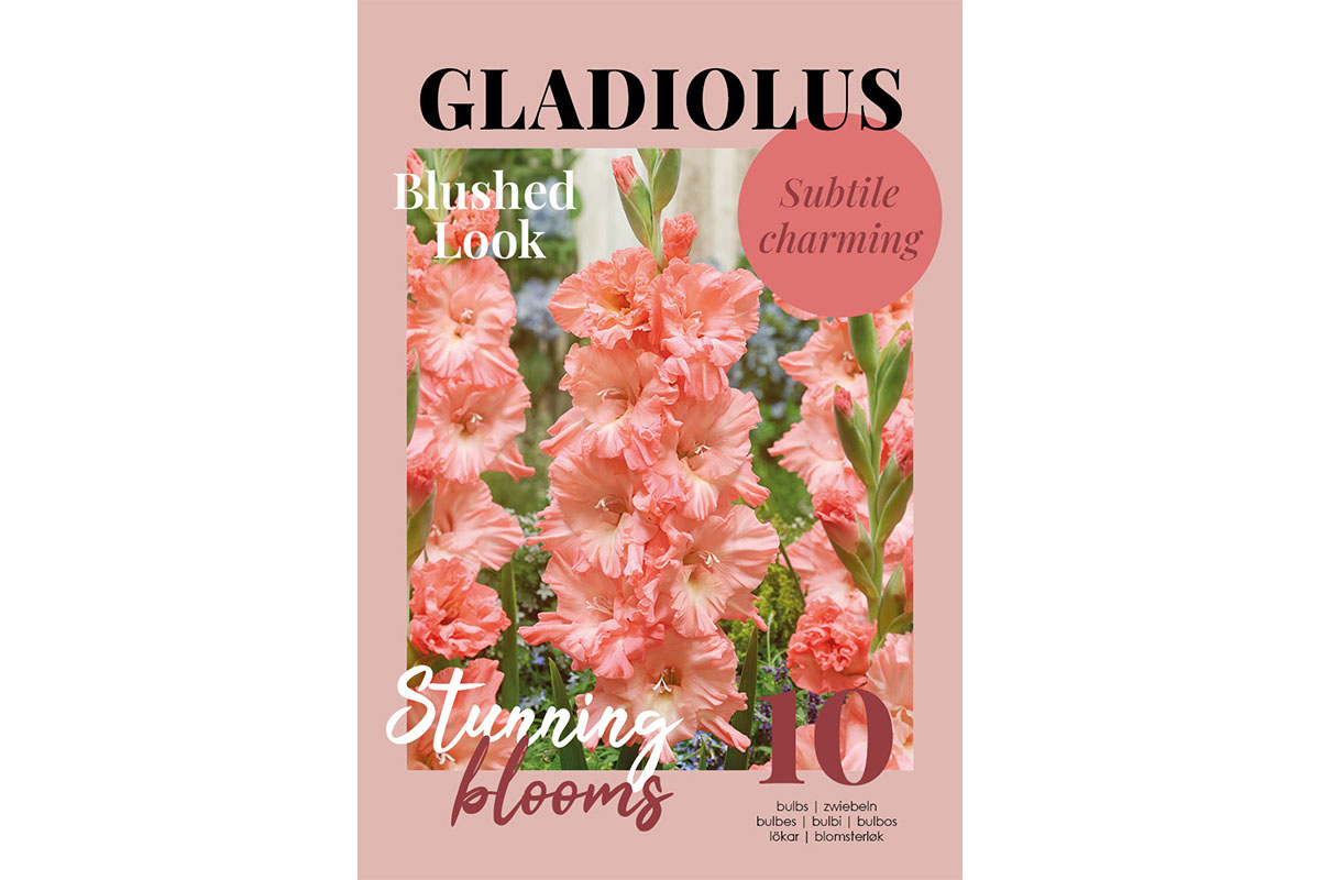 Glossy Gladiool Blushed Look 