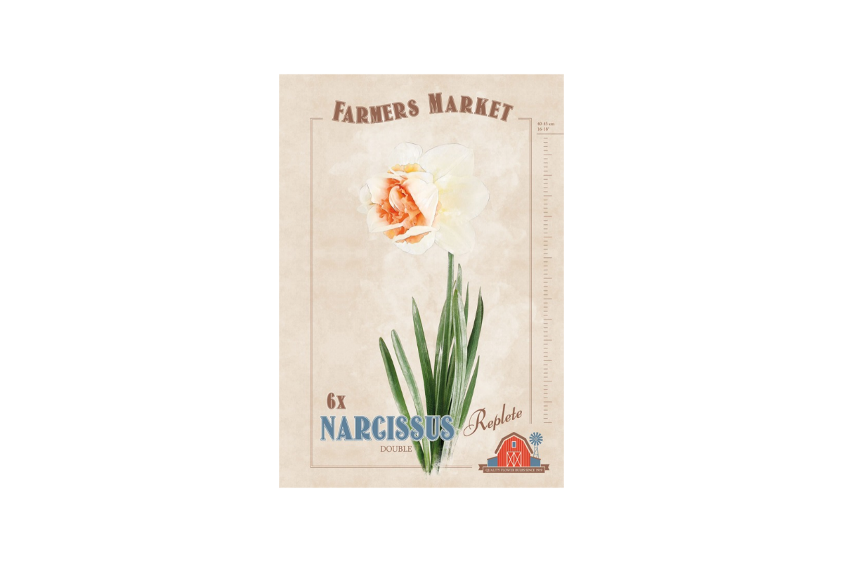 Farmers Market Narcissus double Replete 6/1 
