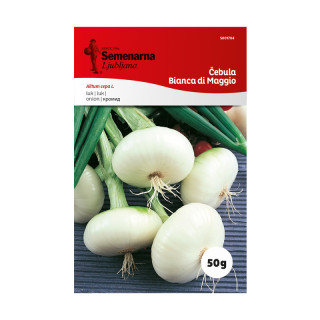 ČEBULA BIANCA DI MAGGIO 50 g Semenarna