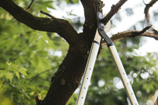 Škarje za veje teleskopske L86 1013564 Fiskars