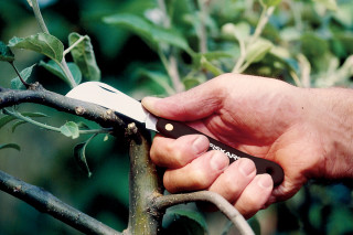 Nož cepilni zakrivljen K62 170mm 1001623 Fiskars