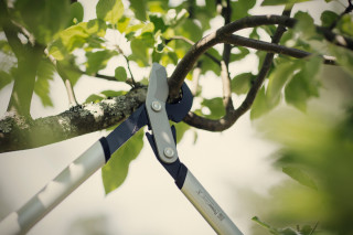 Škarje za veje byp.m LX94 Powergea 1020187 Fiskars
