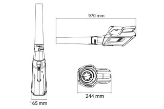 Puhalnik Listja Akumulatorski BL 5040 Zen Villager 