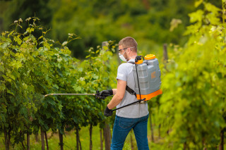 Škropilnica Ročna Hortus 12L Villager 