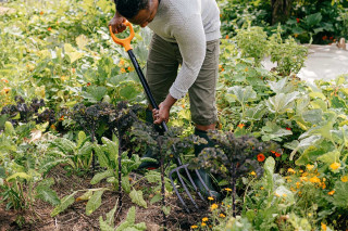 VILE PREKOPNE SOLID 1070673 Fiskars