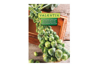 BRST.OHROVT LONG ISLAND 120 Valentin