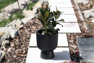 PVC lonec, Milly, 39x45.5 cm, antracit