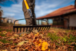 GRABLJE 14 ZOB 086980 Bomber 