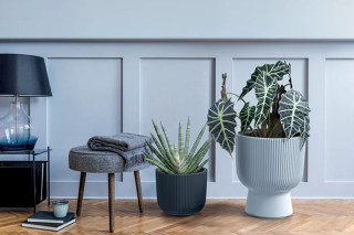 PVC lonec, Milly, 23.9x30.5 cm, bel 