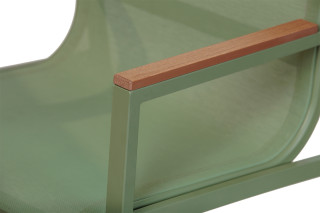 GARNITURA VRTNA OLIVE VISOKA 88823 