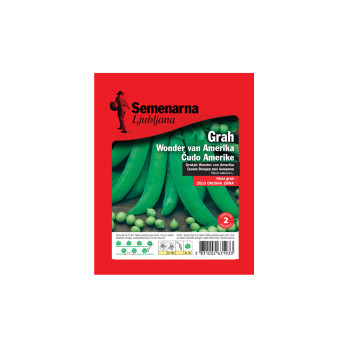 GRAH WONDER VAN AMERIKA 100 g Semenarna 