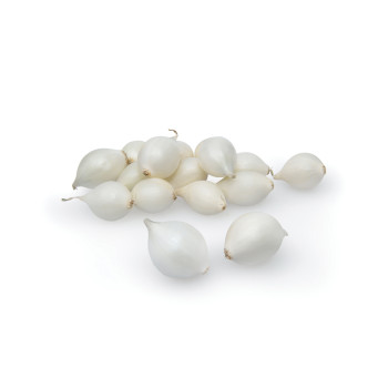 ČEBULČEK SNOWBALL (Majski srebrnjak) 500 g 