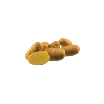 KROMPIR AGRIA A 25 kg 35/(50)55 mm 