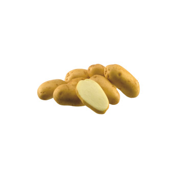 KROMPIR MARIS BARD 5 kg 