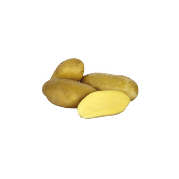 KROMPIR CELTIANE 5KG  A  25/30mm 