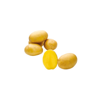 KROMPIR BELMONDA  5kg 35/55mm 