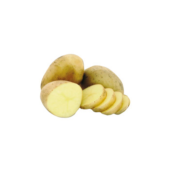 KROMPIR DAIFLA A 35/55  25 kg 