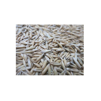 OVES NONI 25 KG netretirano 