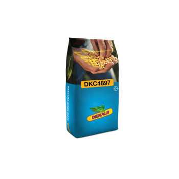 Koruza DKC 4897 50 MK Acceleron Elite 