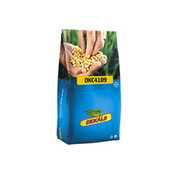 KORUZA DKC 4109 50 MK Acceleron Elite 