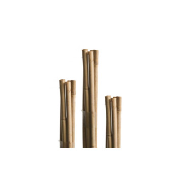 Opornik bambus 150 cm 12–14 mm Windhager 
