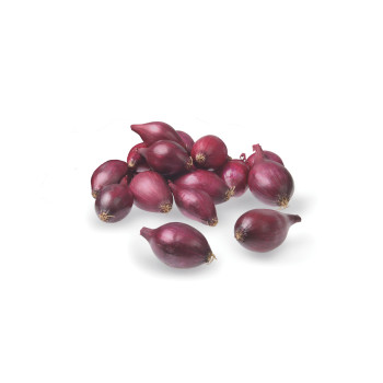 ČEBULČEK RDEČI RED BARON 500g 