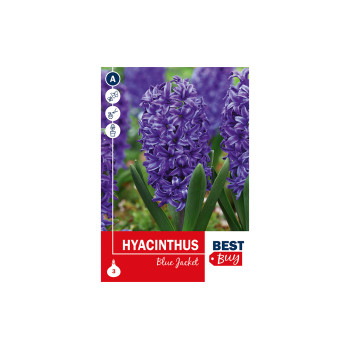 Super Best Buy Hyacinthus Blue Jacket 3/1 