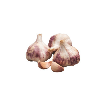 ČESEN GERMIDOUR 400 g 