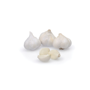 ČESEN MESSIDROME 400 g 