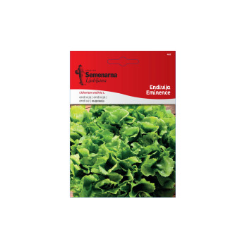 ENDIVIJA EMINENCE 10G 