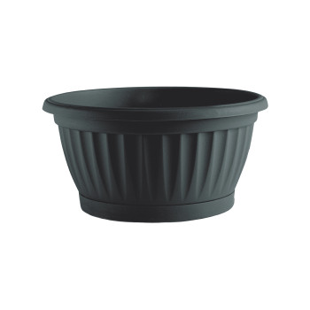 SKLEDA MEDITERAN LUX anth 25cm art. C910250 