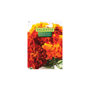 ŽAMETNICA NIZKA - MEŠANICA (Tagetes) 5436 Valentin 