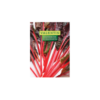 MANGOLD RHUBARB CHARD (rdečelistni) 485 Valentin 