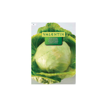 ZELJE FUTOŠKO 56 Valentin 