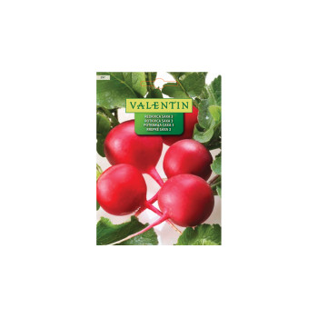 REDKVICA SAXA 3 297 Valentin 