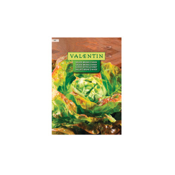 SOLATA BRUNE DHIVER 397 Valentin 